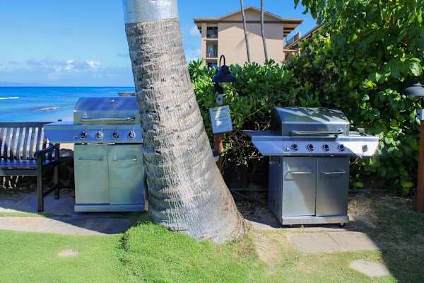 Outdoor BBQ Station For Memorable Cookouts