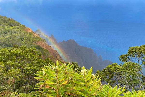 Breathtaking views of Kauai's cliffs