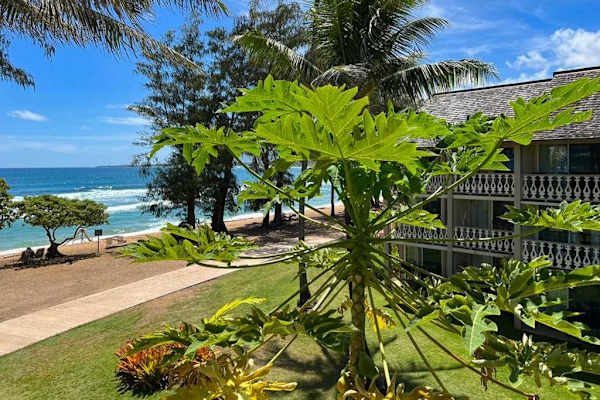 Tropical gardens by the shoreline
