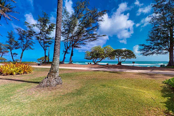 Oceanfront lawn with panoramic views