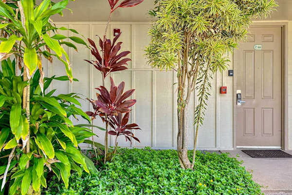 

Welcoming entrance surrounded by greenery
