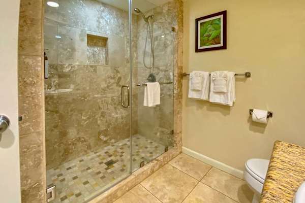 Walk-in shower with modern finishes