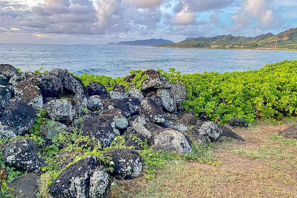 
Explore the scenic lava coastline
