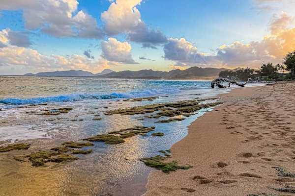 Golden Hour Along The Shoreline