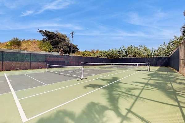Championship Tennis Court Challenge