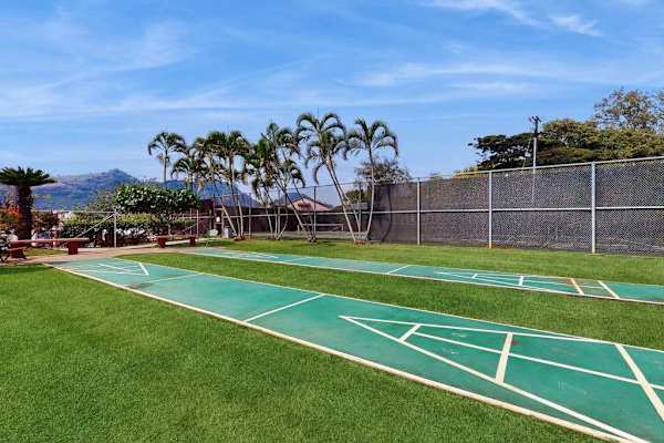 Championship Tennis Court Fun