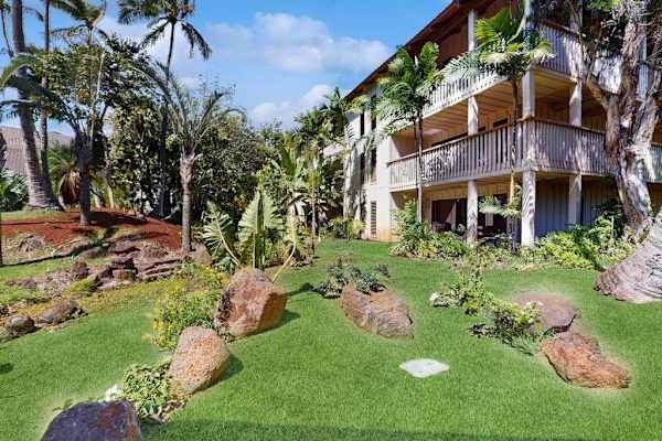 Lush Garden Path To Your Stay