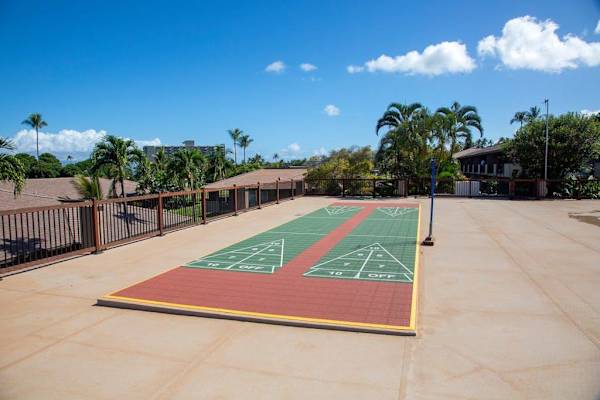 Challenge Friends On The Shuffleboard Court