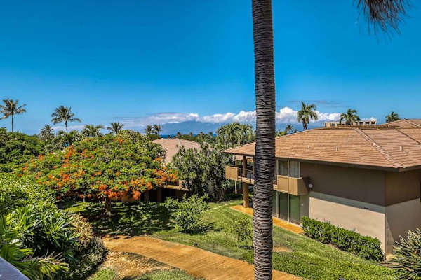 Lush Tropical Views Beyond Your Window