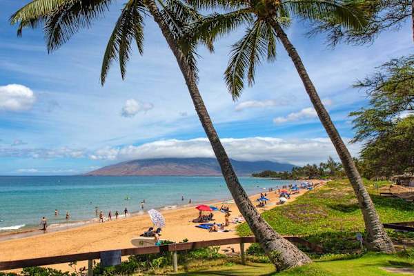 Palm-framed beach view with brilliant blue water