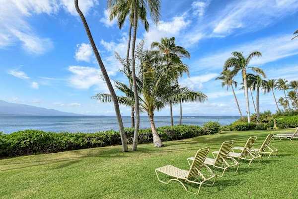 Lounge on the chairs as you hear the wavers crashing and the palm trees swaying.