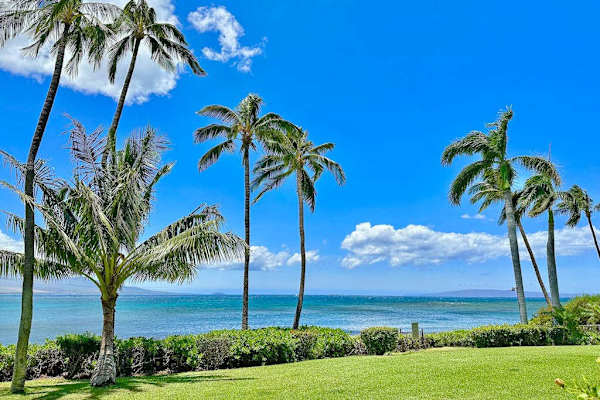 Maalaea Banyans