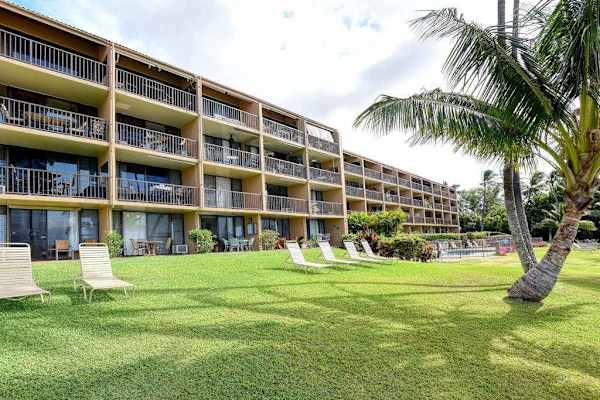 Lounge on the chairs as you hear the wavers crashing and the palm trees swaying.