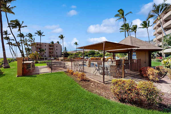 Grill And Gather Under The Palms