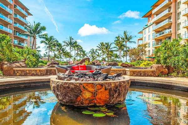 Gather Around The Fire Under Tropical Skies