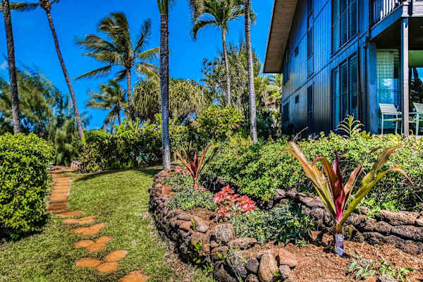 Lush Tropical Garden Path To Paradise
