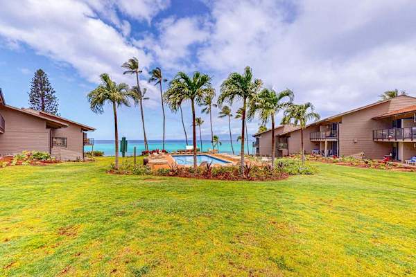 Spacious Tropical Lawn For Relaxing Days
