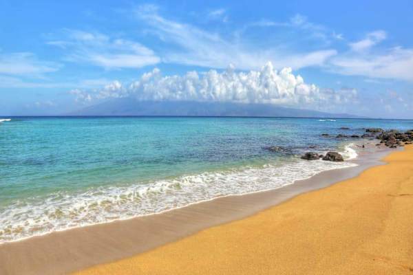 Enjoy stunning views of the Pacific Ocean framed by lush tropical plants and sparkling turquoise waters.