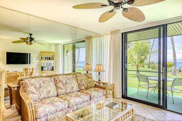 Sunlit living space with sleeper sofa