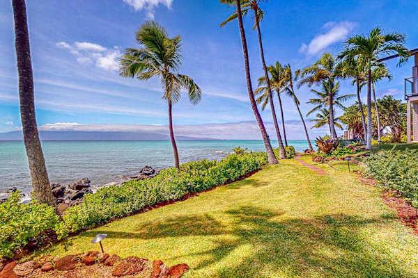 Palm Lined Path To Paradise