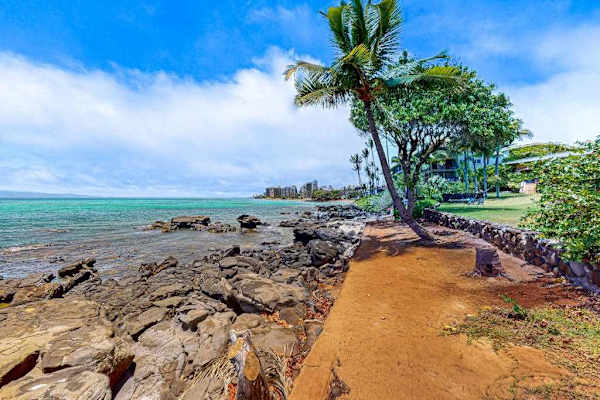 Scenic Coastal Walking Path