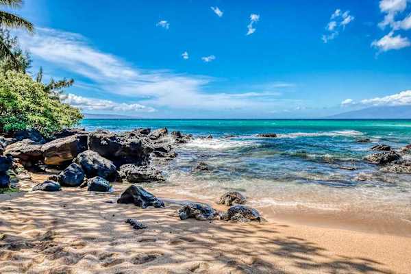 Picturesque Rocky Beach Escape