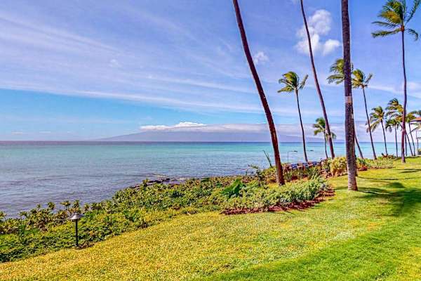 Peaceful Oceanfront Lawn