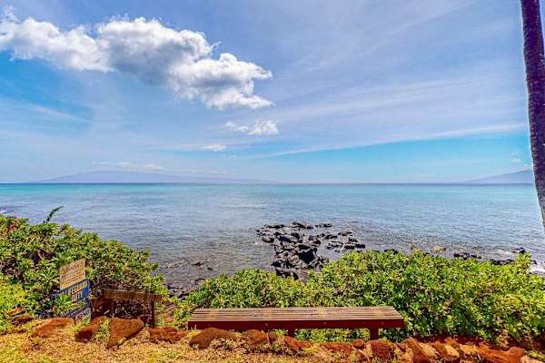Peaceful Oceanfront Garden Views