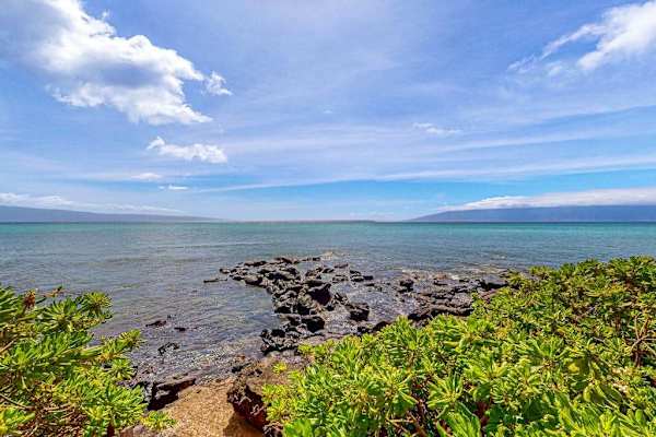 Panoramic Oceanfront Shoreline