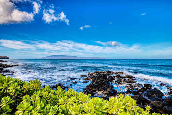 Blue Horizon Rocky Shore