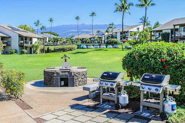 Outdoor BBQ For Family Cookouts