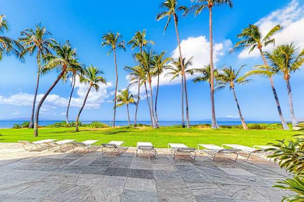 Lounge by the pool under the swaying palm trees as you hear the waves crashing on to the shores.