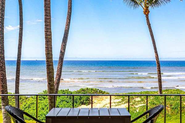 Palm Framed Pacific Views
