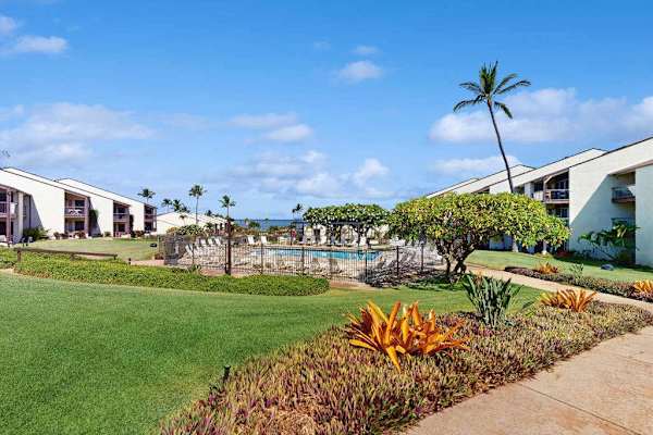Lush Courtyard With Tropical Landscaping