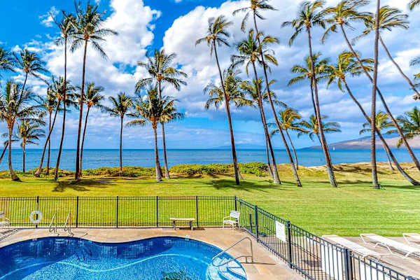 Pool Views Framed By Paradise