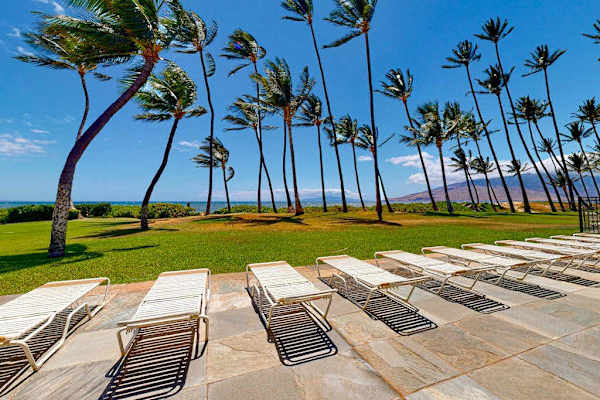 Palm Lined Beachfront Escape