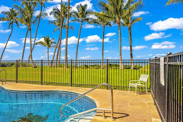 Poolside Paradise Beneath The Palms
