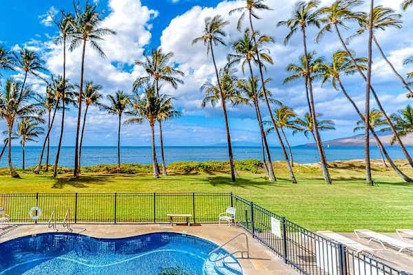 Poolside Bliss Beneath Swaying Palms