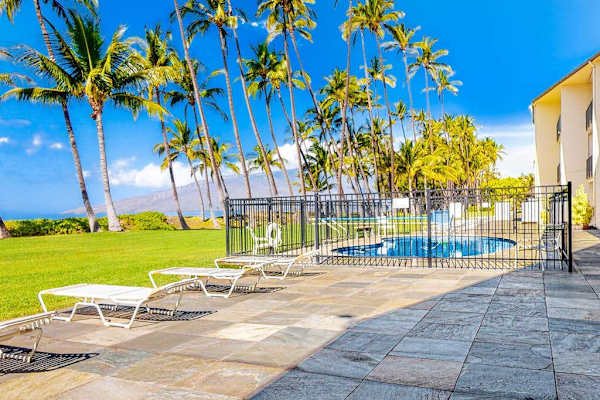 Resort Pool Surrounded By Palms