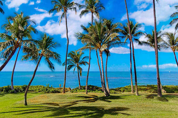 Palm Fringed Beachfront Paradise