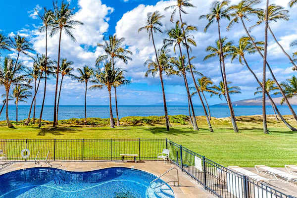 Swim With Stunning Ocean Backdrops