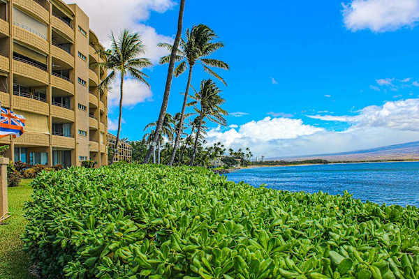 Island Sands Resort Tropical Paradise 