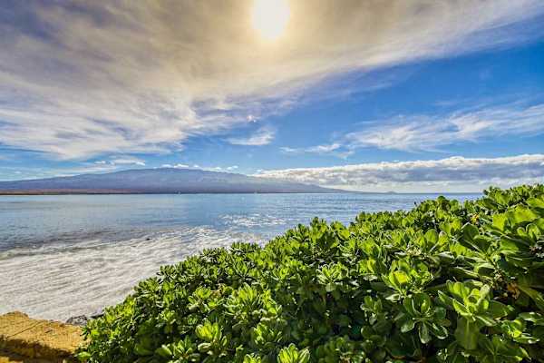 Take in the scenic beauty of this tropical paradise or unwind on the nearby sandy beaches.