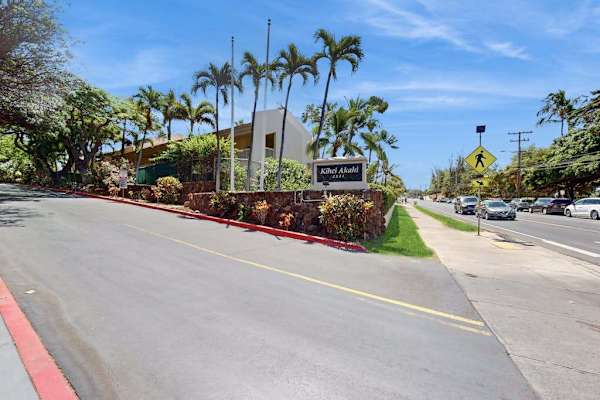 Scenic Arrival Through Swaying Palms