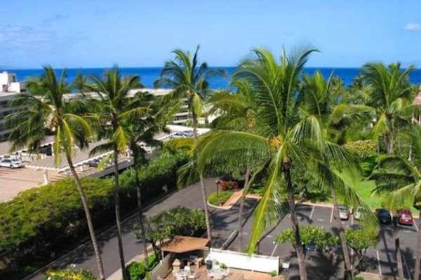 Palm-Lined Views Across Paradise