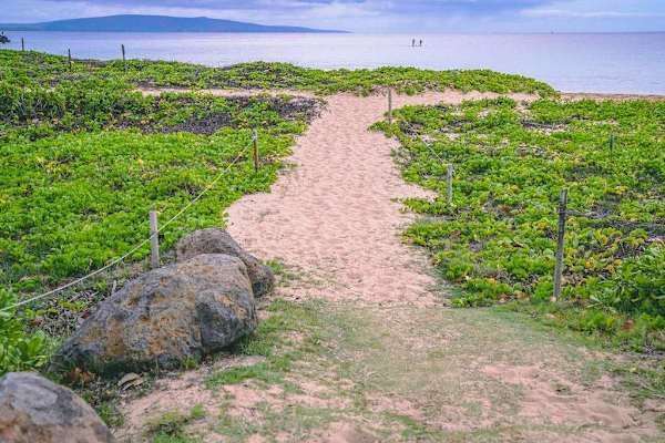 Coastal Path Leading To Paradise