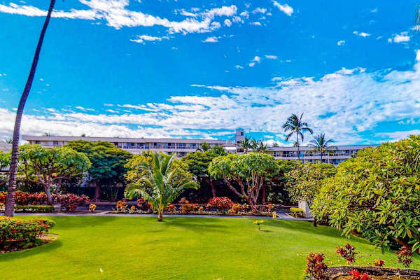 Beautiful Tropical Grounds To Explore
