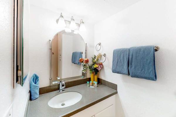 Fresh Bathroom With Modern Vanity