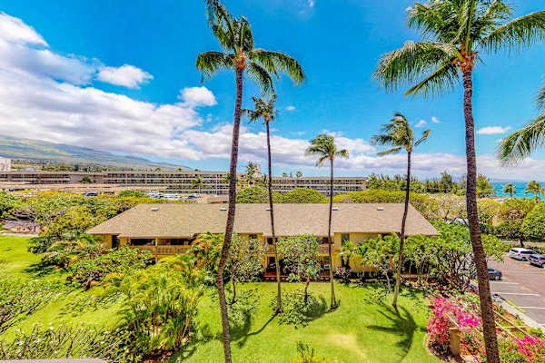 Aerial View of Resort Grounds and Tropical Palm Trees