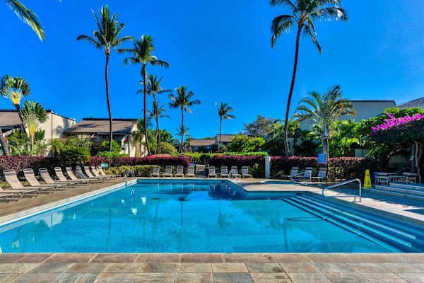 Resort pool offers swimming beneath palms with bright blue skies